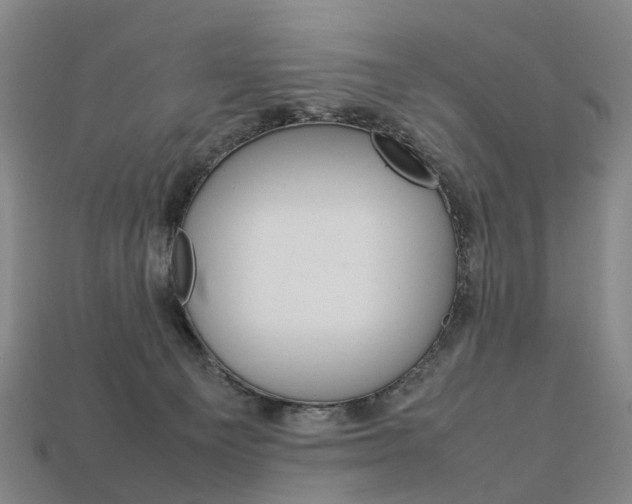 X0000113750129200909231013