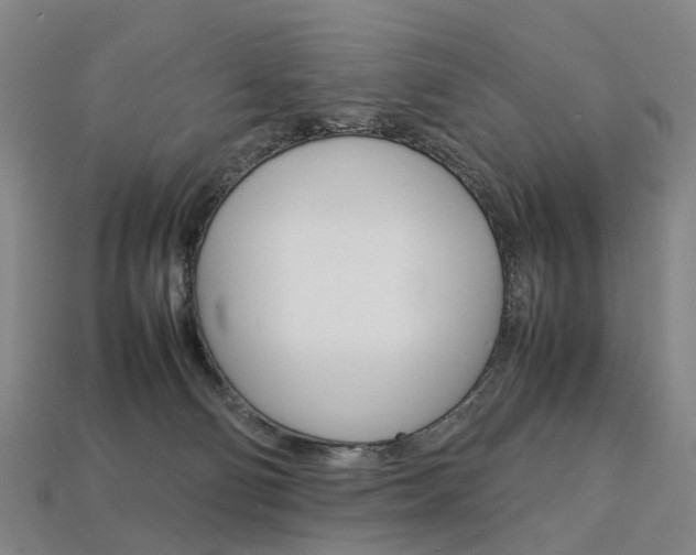X0000113750130200909231013