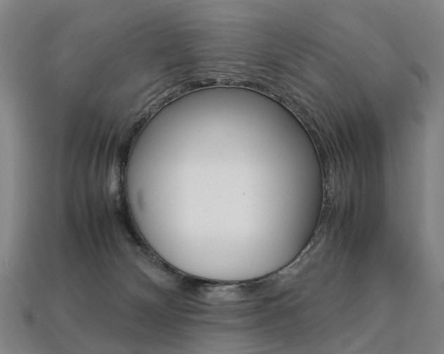 X0000113750132200909231013