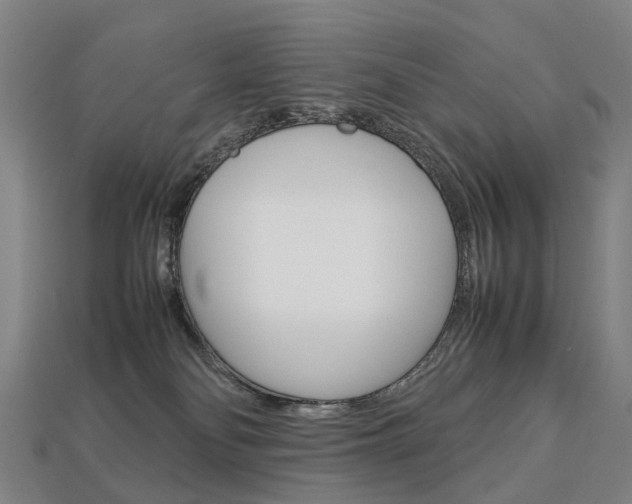 X0000113750134200909231013