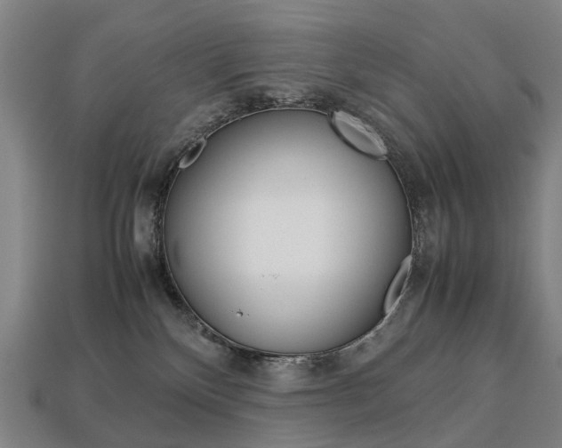 X0000113750136200909231013