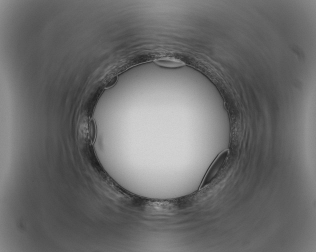 X0000113750137200909231013