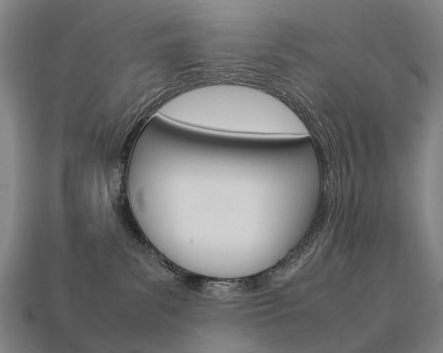 X0000113750139200909231013