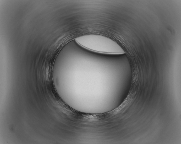 X0000113750140200909231013