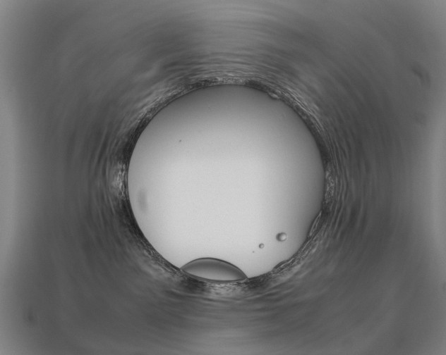 X0000113750141200909231013