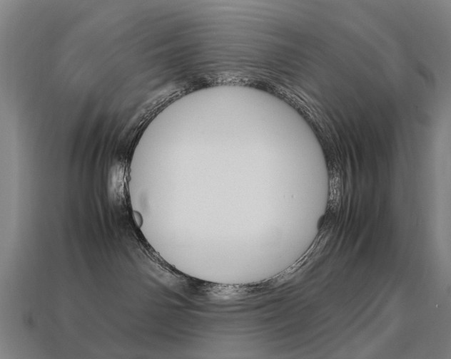 X0000113750142200909231013