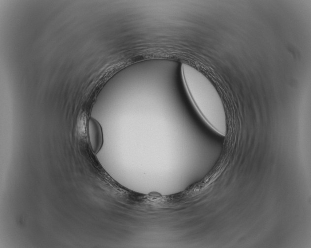 X0000113750143200909231013