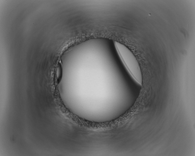 X0000113750144200909231013
