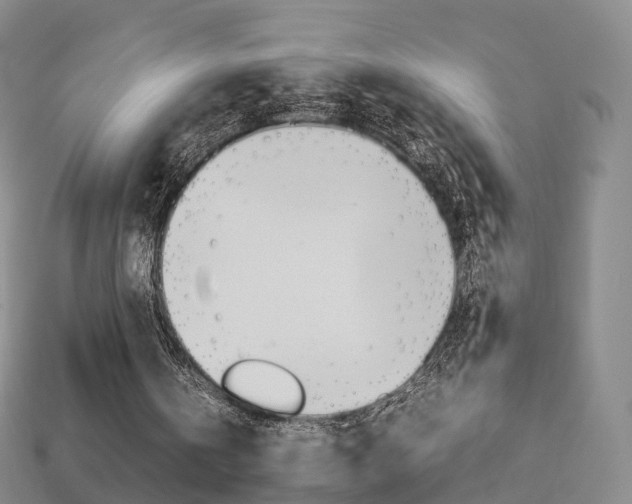 X0000113750146200909231013