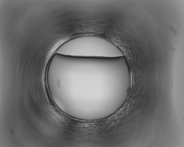 X0000113750147200909231013
