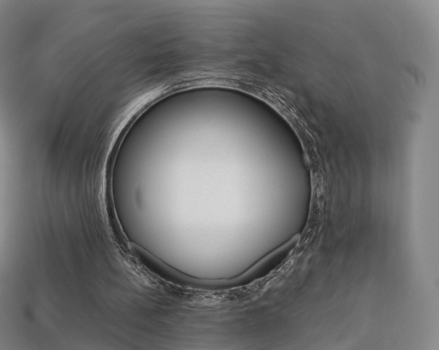 X0000113750148200909231013