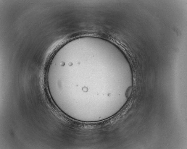 X0000113750149200909231013