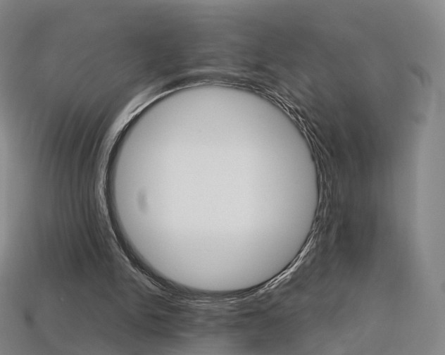 X0000113750150200909231013