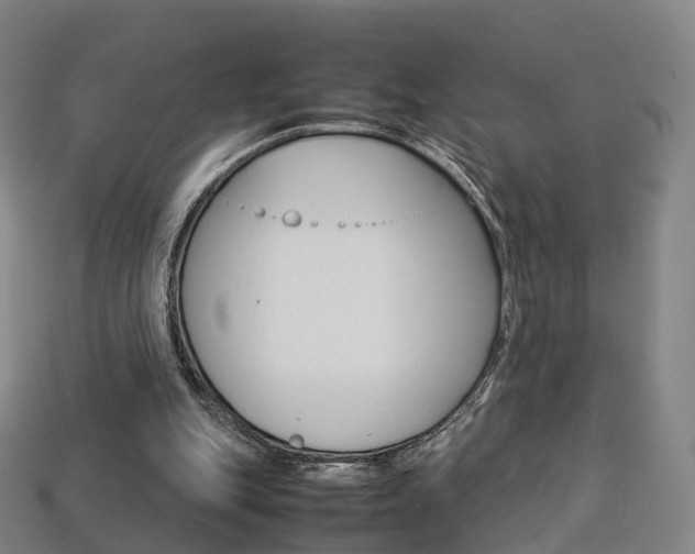 X0000113750151200909231013