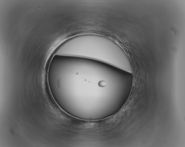 X0000113750152200909231013