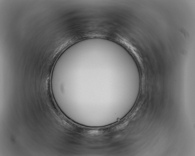 X0000113750153200909231013