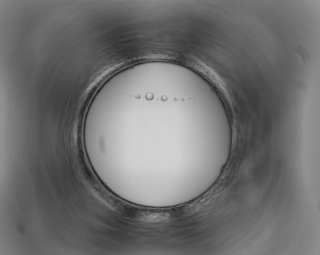 X0000113750155200909231013