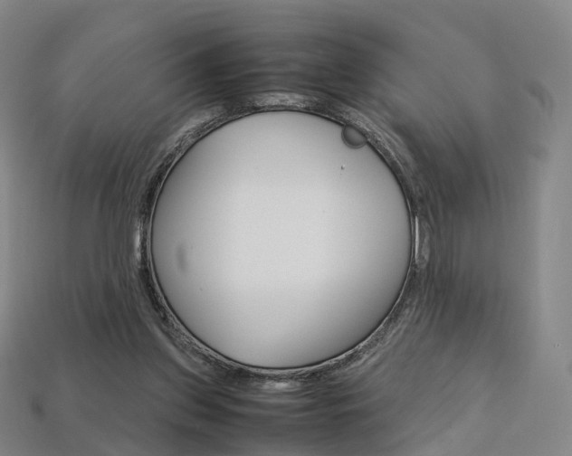 X0000113750157200909231013