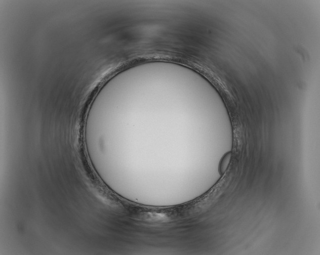 X0000113750159200909231013