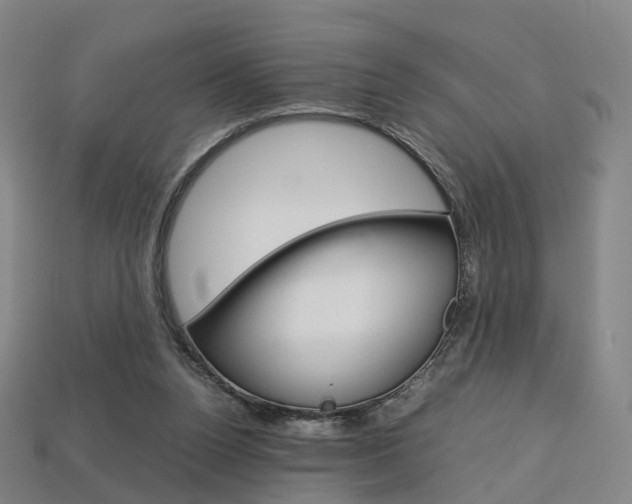 X0000113750160200909231013