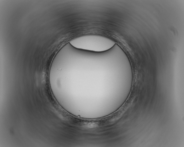 X0000113750161200909231013