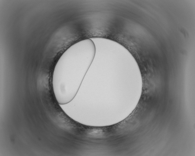 X0000113750162200909231013