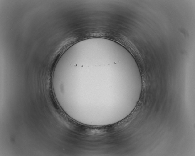 X0000113750163200909231013