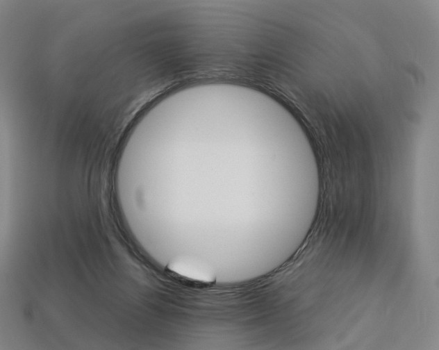 X0000113750164200909231013