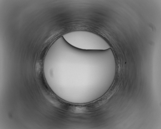 X0000113750165200909231013