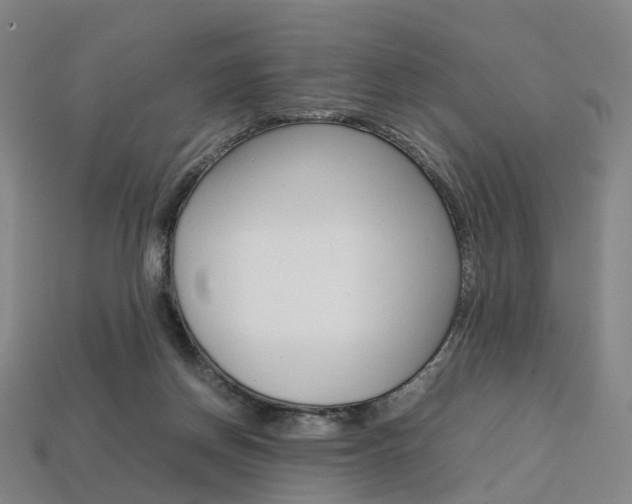 X0000113750166200909231013
