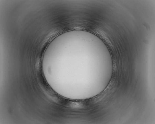 X0000113750167200909231013