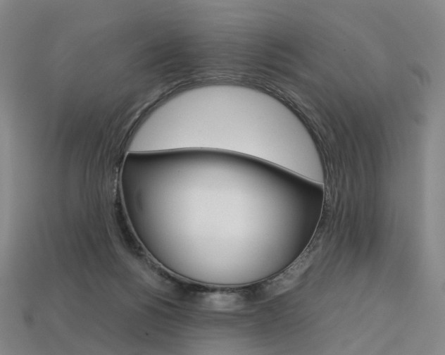 X0000113750168200909231013