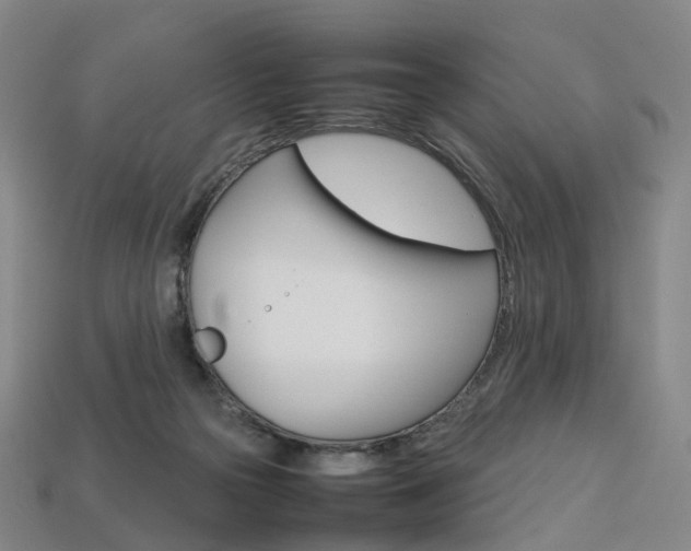 X0000113750169200909231013