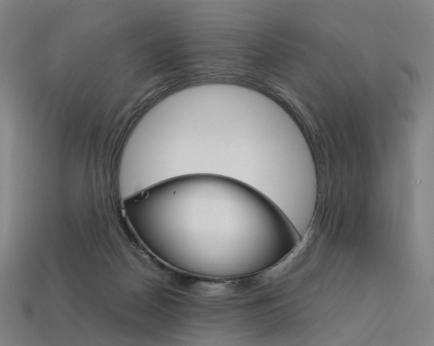 X0000113750170200909231013