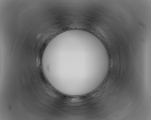 X0000113750173200909231013