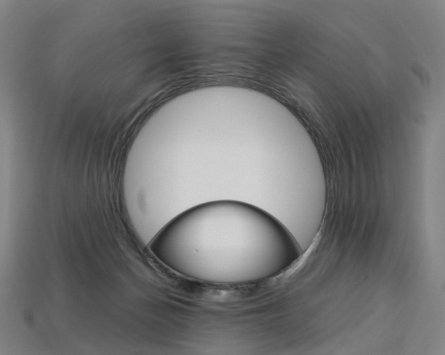 X0000113750174200909231013