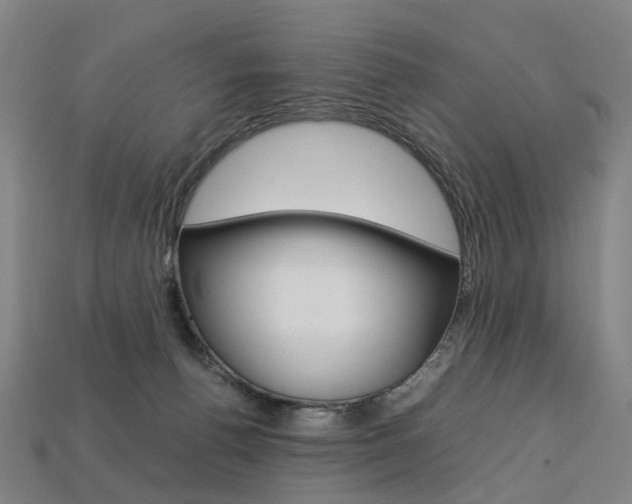X0000113750176200909231013