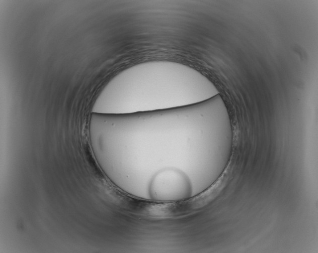 X0000113750178200909231013