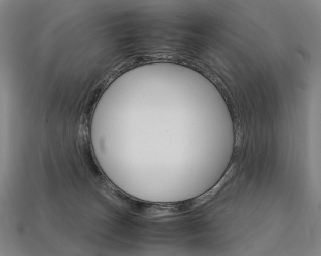 X0000113750179200909231013