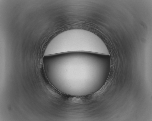X0000113750180200909231013