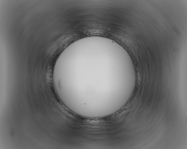 X0000113750181200909231013