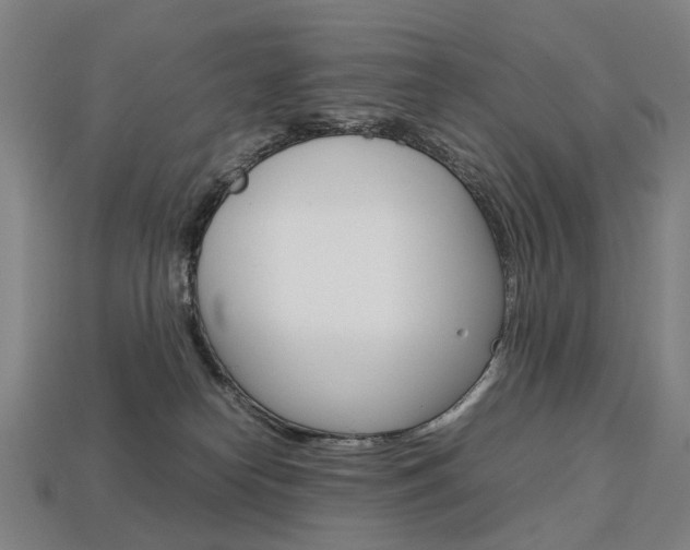 X0000113750182200909231013