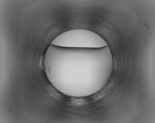 X0000113750185200909231013