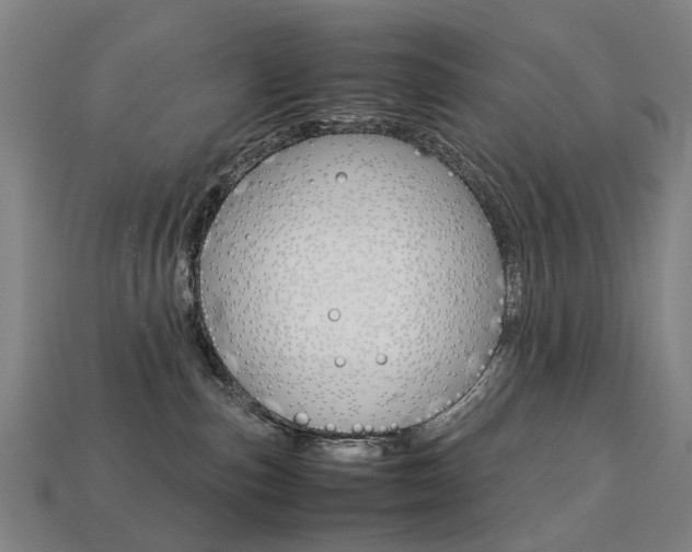 X0000113750187200909231013