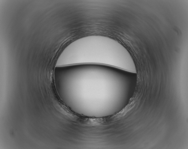 X0000113750188200909231013