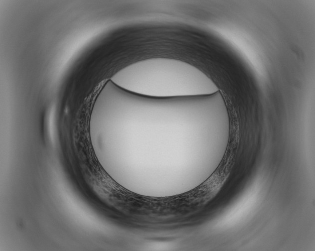 X0000113750189200909231013