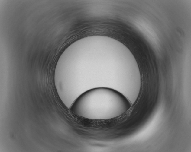 X0000113750190200909231013