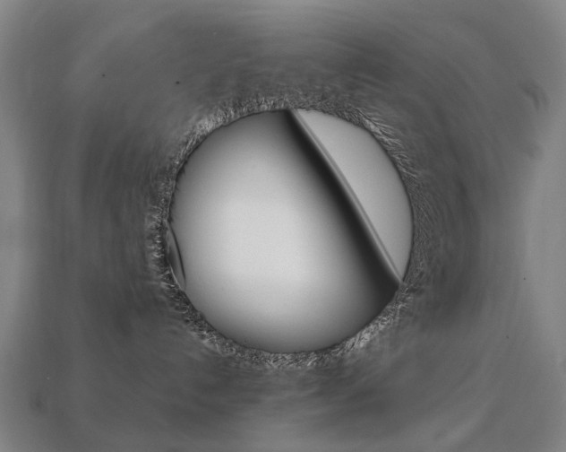 X0000113750192200909231013