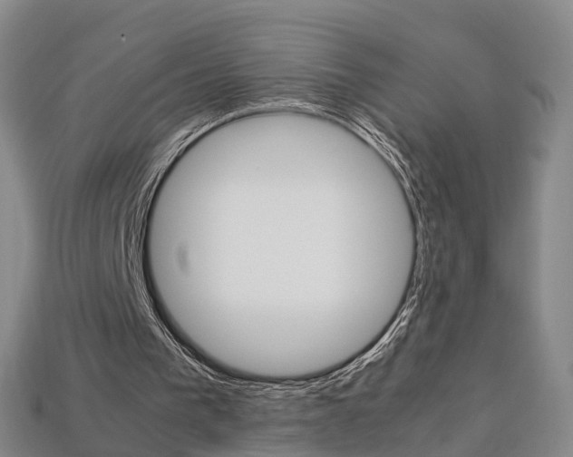 X0000113750193200909231013