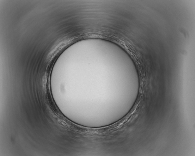 X0000113750194200909231013